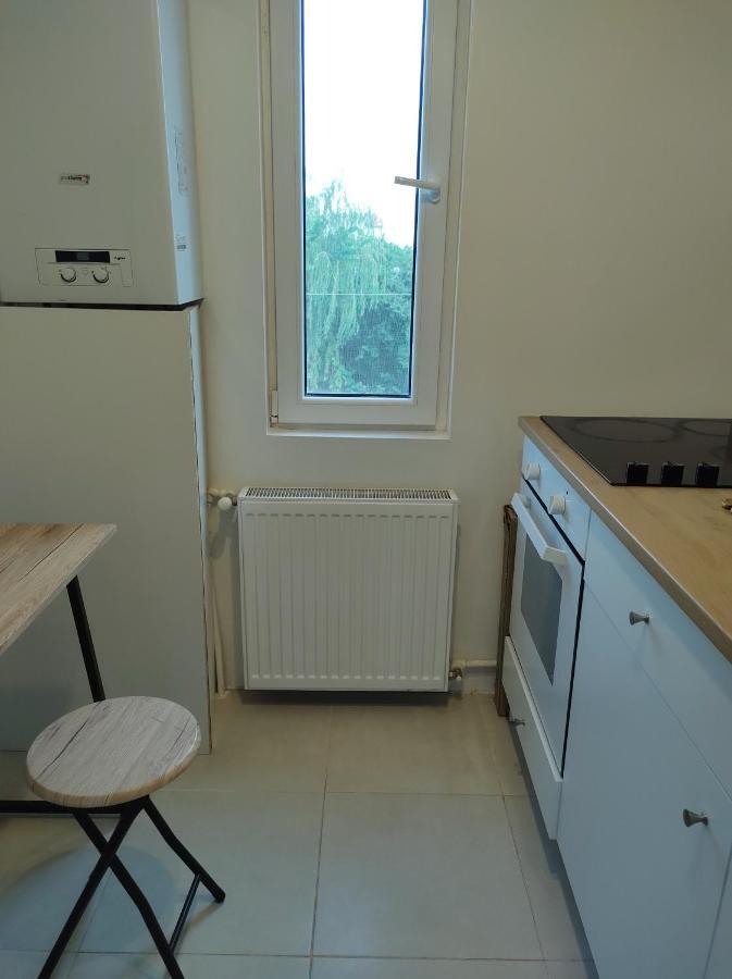 Comfy Condo Otopeni Kültér fotó