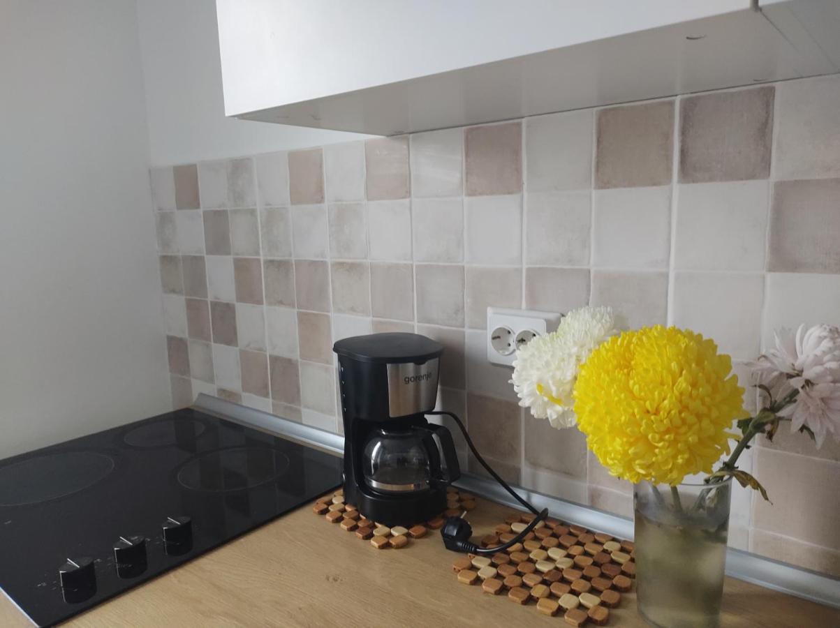 Comfy Condo Otopeni Kültér fotó